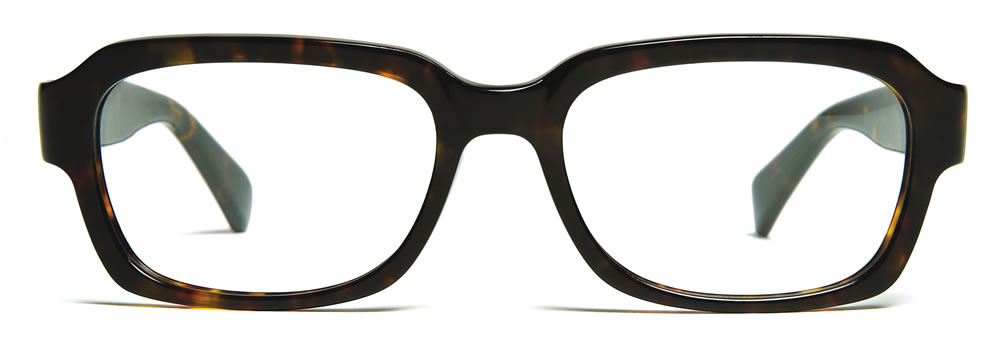 mens fashion glasses – Ashbury True Tortoise